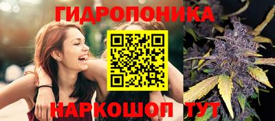 jwh Севастополь
