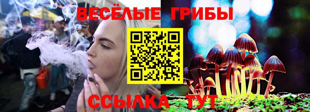 Галлюциногенные грибы Psilocybe  Вход с VPN  Серов 