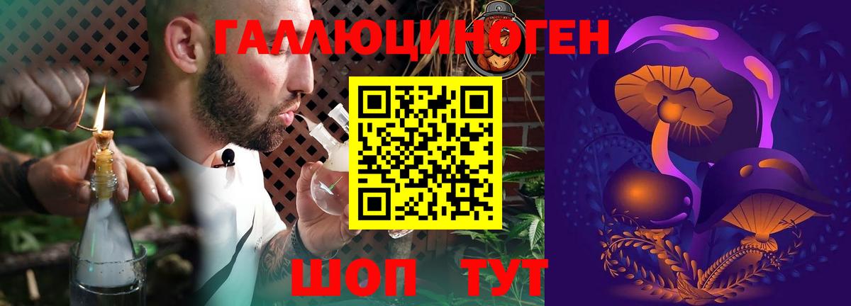Псилоцибиновые грибы MAGIC MUSHROOMS Серов